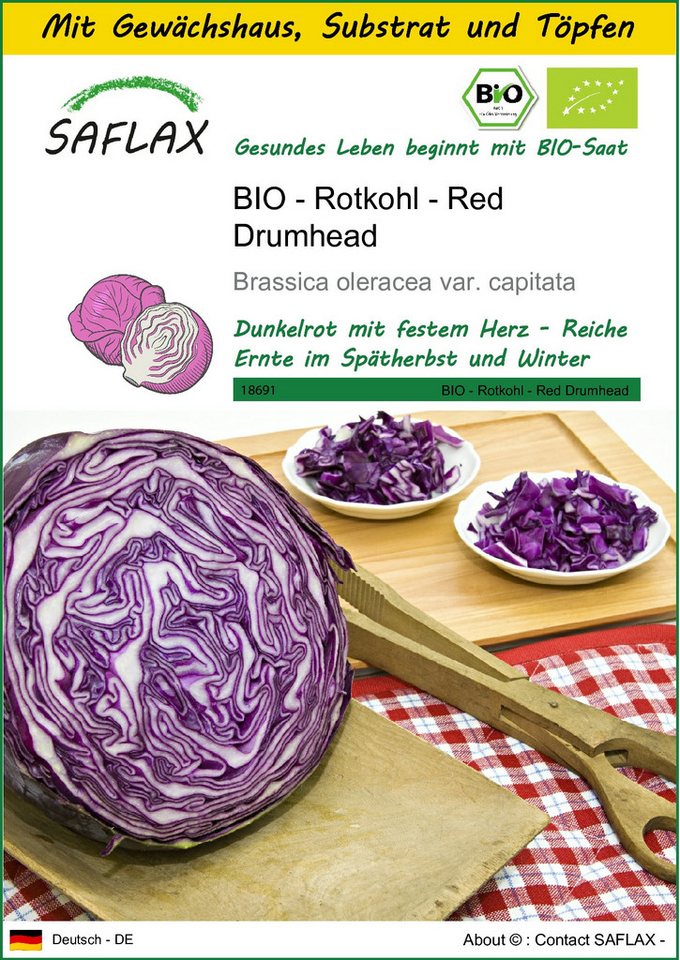 SAFLAX Gemüsesamen SAFLAX - Anzuchtset - BIO - Rotkohl - Red Drumhead von SAFLAX