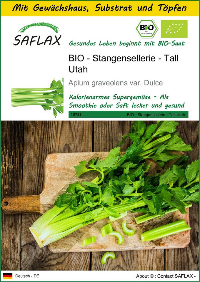 SAFLAX Gemüsesamen SAFLAX - Anzuchtset - BIO - Stangensellerie - Tall Utah von SAFLAX