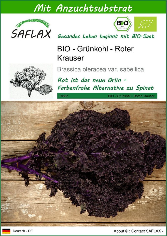 SAFLAX Gemüsesamen SAFLAX - Samen und Substrat - BIO - Grünkohl - Roter Krauser von SAFLAX