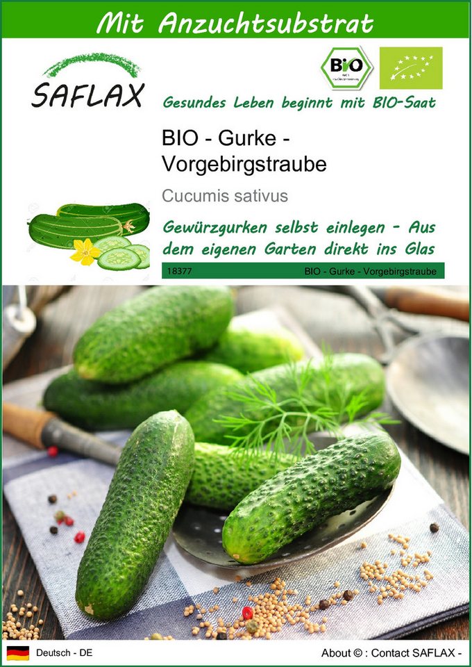 SAFLAX Gemüsesamen SAFLAX - Samen und Substrat - BIO - Gurke - Vorgebirgstraube von SAFLAX