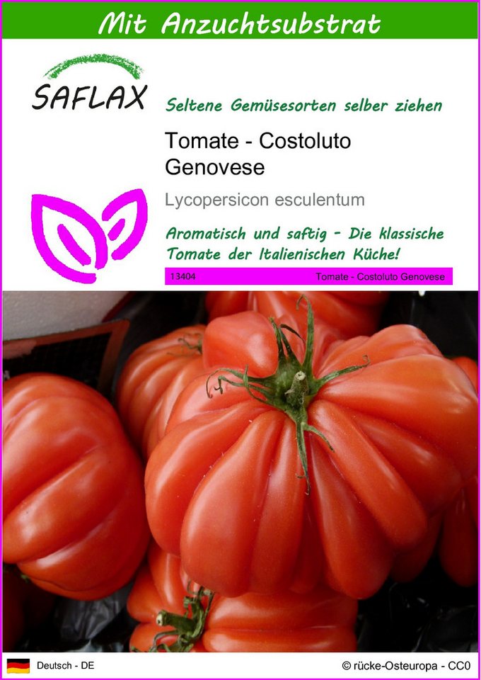 SAFLAX Gemüsesamen SAFLAX - Samen und Substrat - Tomate - Costoluto Genovese von SAFLAX