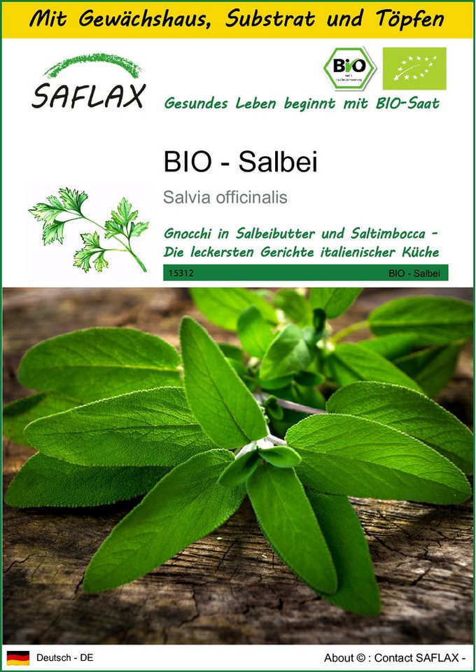 SAFLAX Kräutersamen SAFLAX - Anzuchtset - BIO - Salbei von SAFLAX