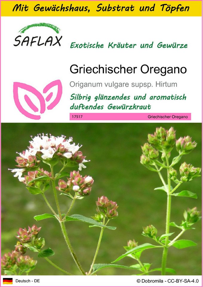 SAFLAX Kräutersamen SAFLAX - Anzuchtset - Griechischer Oregano von SAFLAX
