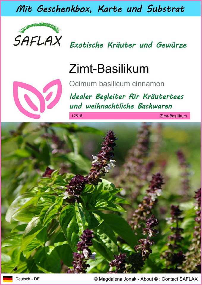 SAFLAX Kräutersamen SAFLAX - Geschenkset - Zimt-Basilikum von SAFLAX