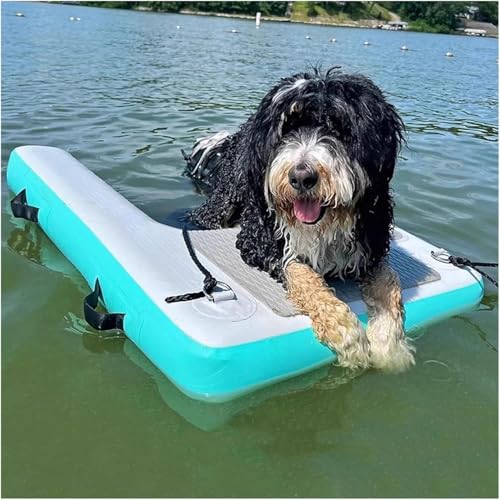SAFWELAU Deckschwimmkissen Hund Ponton Boot Leiter Rampe, Aufblasbare Dock Plattform für Hunde bis zu 132 lbs, Loating Dock Wasser Raft Leiter für Pools Boote Seen Strände(Green) von SAFWELAU