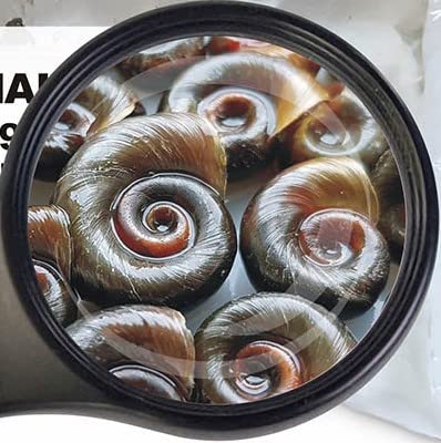 Lebendfutter SAHAWA Posthornschnecken mittel Fischfutter 5 x 90ml Futterschnecken von SAHAWA