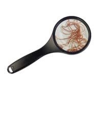 Frisches Lebendfutter – 10 Beutel (je 45 ml) | Sahawa | Gekühlter Versand im Sommer | 4X Glanzwürmer + 4X Weiße Mückenlarven + 2X Tubifex von SAHAWA