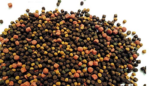 Koifutter Fischfutter Teichfutter schwimmend Verschiedene Sorten 5 Kg Beutel (Koi 6 mm 5 Kg gemischt) von SAHAWA