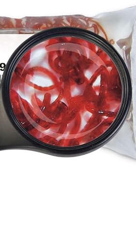Lebendfutter Fischfutter SAHAWA 10 x 90ml Rote Mückenlarven von SAHAWA