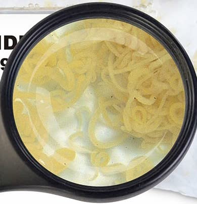 Lebendfutter SAHAWA Fischfutter Verschiedene Sorten zur Auswahl 45ml oder 90 ml (Enchyträen 45 ml) von SAHAWA