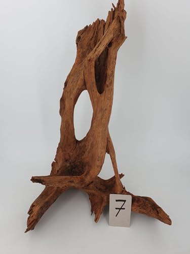 Mangrovenwurzel Traumwurzel Aquarium oder Deko wählen Sie Ihr Einzelstück selbst (Nr.7 60x40x30 cm) von SAHAWA