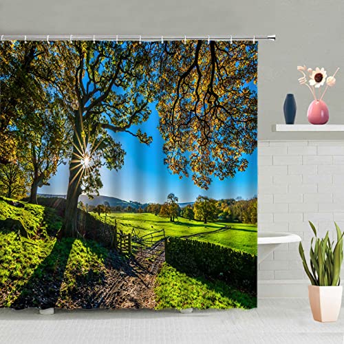 SAJEGBJ Duschvorhang 3D Digitaldruck Pflanzen Bäume Grünland 3D Duschvorhang Aus Polyestergewebe Anti-Schimmel Und Wasserabweisend Shower Curtain Mit 12 Duschvorhangringen 180X210Cm SAJEGBJ Duschvorhang 3D Digitaldruck Pflanzen Bäume Grünland 3D Duschvorhang Aus Polyestergewebe Anti-Schimmel Und Wasserabweisend Shower Curtain Mit 12 Duschvorhangringen 180X210Cm von SAIEGBJ