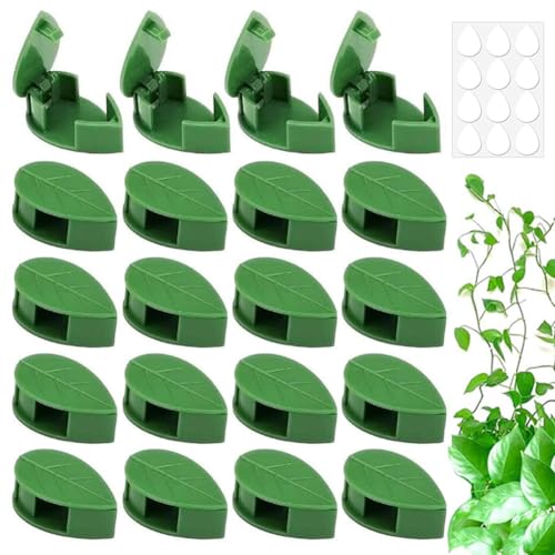 SAIJIAN 100 Stück Pflanzenclips Wand Pflanzenhalter Wandbefestigung Pflanzenclips für Kletterpflanzen Selbstklebend Plant Clips Blattförmiger Rankenhalter Pflanzenstützclip mit Klebepunk SAIJIAN 100 Stück Pflanzenclips Wand Pflanzenhalter Wandbefestigung Pflanzenclips für Kletterpflanzen Selbstklebend Plant Clips Blattförmiger Rankenhalter Pflanzenstützclip mit Klebepunk von SAIJIAN