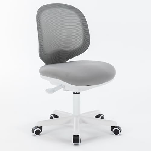 SAINUO Bürostuhl Ergonomischer Schreibtischstuhl, Höhenverstellbar Ohne Armlehne Homeoffice Stuhl mit Mesh Rückenlehne, Drehstuhl Computerstuhl mit PU-Rolle für Schlafzimmer-Gray von SAINUO