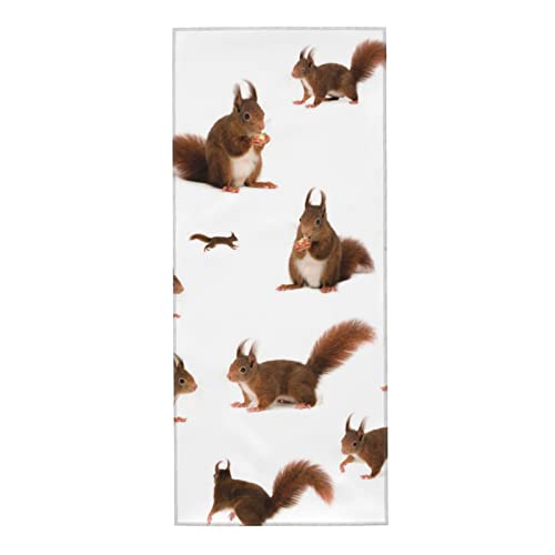Niedliches Eichhörnchen-Handtuch, Mikrofaser, weich, hautfreundlich, saugfähig, Größe: 30,5 x 69,8 cm, Badezimmer, Pool, Outdoor, Sport Niedliches Eichhörnchen-Handtuch, Mikrofaser, weich, hautfreundlich, saugfähig, Größe: 30,5 x 69,8 cm, Badezimmer, Pool, Outdoor, Sport von SAINV