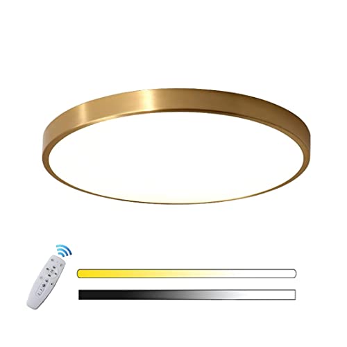 LED Dimmbar Deckenleuchte Gold Modern Wohnzimmer Schlafzimmer Deckenlampe Innen Panel Runde Decke Leuchten mit Fernbedienung Ultra Dünn Für Büro Korridor Badezimmer Ankleidezimmer Beleuchtung (Ø60cm) von SAIVITT