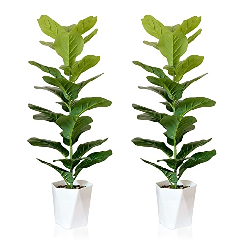 SAJANDAS 2er Set Kunstpflanze Geigenfeige mit Töpfen, 80 cm Künstliche Pflanzen Ficus Lyrata mit Grüne Blätter und Stielen, Faux Fiddle Leaf Pflanzen für Zuhause Büro Deko von SAJANDAS
