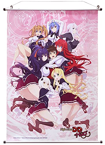 SAKAMI Highschool DXD Wallscroll Group Wallscroll Stoff-Poster 60x86cm Wandbild auf Stoff, offiziell lizensiert Merchandise von SAKAMI