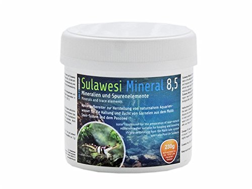 SALTYSHRIMP Sulawesi Mineral 8,5-230g von SALTYSHRIMP