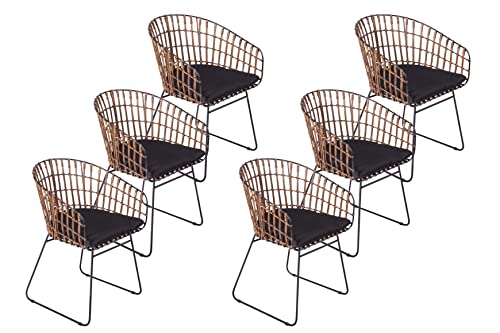 SAM 6er Set Rattanstuhl Lima, Farbe Dunkelbraun, inklusive Sitzkissen, Korbstuhl mit Metallrahmen, Geflechtstuhl/Eisenstuhl im Retro-Design, Esszimmerstuhl mit Armlehnen von SAM