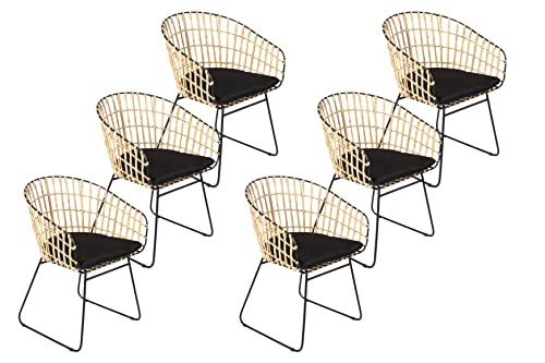SAM 6er Set Rattanstuhl Lima, Farbe Natur, inklusive Sitzkissen, Korbstuhl mit Metallrahmen, Geflechtstuhl/Eisenstuhl im Retro-Design, Esszimmerstuhl mit Armlehnen von SAM