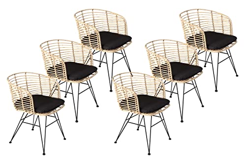 SAM 6er Set Rattanstuhl Nairobi, Farbe Natur, inklusive Sitzkissen, Korbstuhl mit Metallfüßen, Geflechtstuhl/Eisenstuhl im Retro-Design, Esszimmerstuhl mit Armlehnen SAM 6er Set Rattanstuhl Nairobi, Farbe Natur, inklusive Sitzkissen, Korbstuhl mit Metallfüßen, Geflechtstuhl/Eisenstuhl im Retro-Design, Esszimmerstuhl mit Armlehnen von SAM