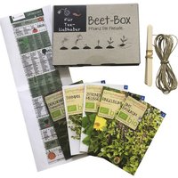 SAMEN MAIER Beet-Box "Für Tee-Liebhaber", Samen, Blüte: mehrfarbig - gruen von SAMEN MAIER