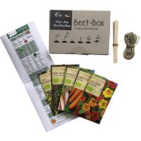 SAMEN MAIER Beet-Box "Für die Gartenfee", Samen, Blüte: mehrfarbig - bunt von SAMEN MAIER