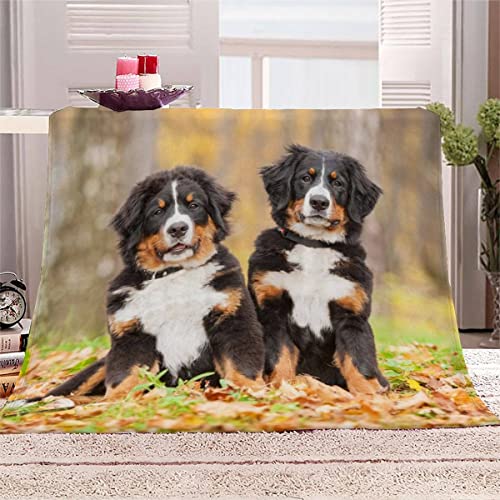 Kuscheldecke 150x200 cm Berner Sennenhund Decke Camping Kuscheldecke Flanelldecke Weich Wohndecke Haustier Hund Sofadecke Decke für Kinder Erwachsene Kuscheldecke Draußen von SAMUTO