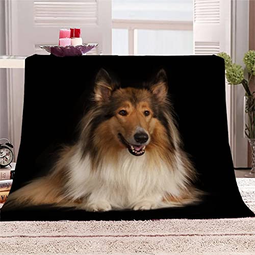 SAMUTO Kuscheldecke 150x200 cm Border Collie Decke Camping Kuscheldecke Flanelldecke Weich Wohndecke Schwarz Sofadecke Decke für Kinder Erwachsene Kuscheldecke Draußen von SAMUTO