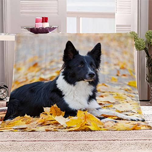 Kuscheldecke Border Collie Kinder Flanell Decke Schwarz-weißer Hund 3D Drucken Microfaser Flauschig Weich Warm Plüsch Wohndecke Sommer Zottelig Kuscheldecke 100x135 cm von SAMUTO