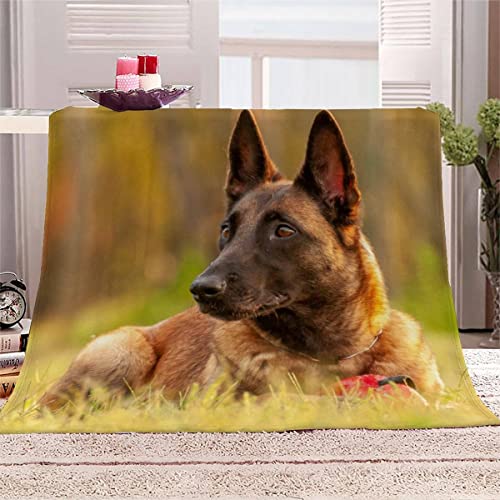 SAMUTO Kuscheldecke 150x200 cm Belgischer Schäferhund Decke Camping Kuscheldecke Flanelldecke Weich Wohndecke Tier Hund Sofadecke Decke für Kinder Erwachsene Kuscheldecke Draußen von SAMUTO