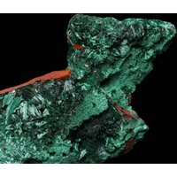 Acicular Malachit Cluster, Mashamba West Mine, Katanga, Dr Kongo von SAMineralShop