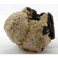 Beige Olmiite Cluster, N'chwaning Ii, Südafrika Beige Olmiite Cluster, N'chwaning Ii, Südafrika von SAMineralShop