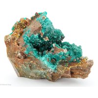 Dioptas, Wulfenit, Mottramit Und Goethit, Kimbedi, Brazzaville, Kongo von SAMineralShop