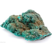 Dioptas Kuppel Auf Matrix, Kimbedi, Brazzaville, Kongo von SAMineralShop