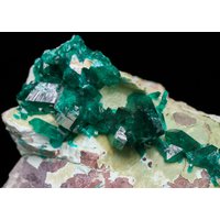 Dioptase Auf Matrix, Koakoveld, Namibia von SAMineralShop