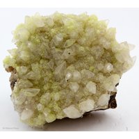 Ettringit E On Calcite Scalenohedrons , N'chwaning Ii, Südafrika von SAMineralShop