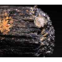Goshenit Auf Turmalin, Erongo Mnt Region, Namibia von SAMineralShop