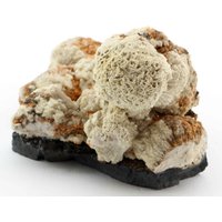 Großer Orange Olmiit-Cluster, N'chwaning Ii, Südafrika von SAMineralShop