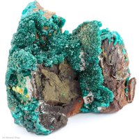 Großer Wulfenit, Willemit, Dioptas Auf Calcit Matrix, Kimbedi, Brazzaville, Kongo von SAMineralShop