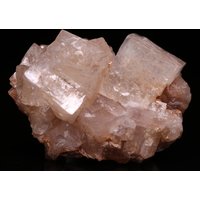 Hydroxyapophyllit Cluster, N'chwaning Ii, Nordkap, Südafrika von SAMineralShop