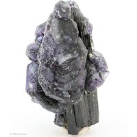 Lila Fluorit Auf Foitit Mit Mikro Topas, Hohenstein, Erongo, Namibia von SAMineralShop