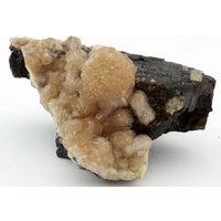 Lovely Olmiite Cluster, N'chwaning Ii, Südafrika Lovely Olmiite Cluster, N'chwaning Ii, Südafrika von SAMineralShop