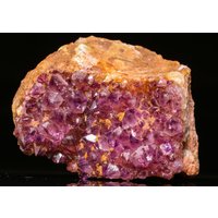 Miniatur Amethyst Kaktus Quarz, Boekenhoutshoek, Südafrika von SAMineralShop