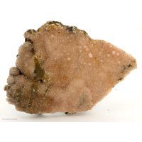 Rhodochrosit Platte, N'chwaning Ii, Südafrika Rhodochrosit Platte, N'chwaning Ii, Südafrika von SAMineralShop