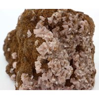 Rhodochrosite Auf Matrix, Wessels Mine, Südafrika von SAMineralShop