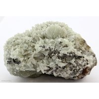 Tarbutit Und Smithsonit-Cluster, Skorpion Mine, Karas-Region, Namibia Tarbutit Und Smithsonit-Cluster, Skorpion Mine, Karas-Region, Namibia von SAMineralShop