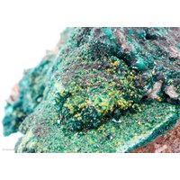 Willemit, Wulfenit Und Dioptas An Calcit, Kimbedi, Mindouli, Brazzaville, Kongo von SAMineralShop