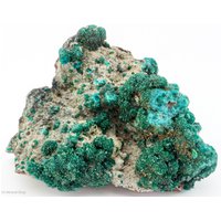 Wulfenit Auf Dioptas Calcit Matrix, Kimbedi, Mindouli, Brazzaville, Kongo von SAMineralShop